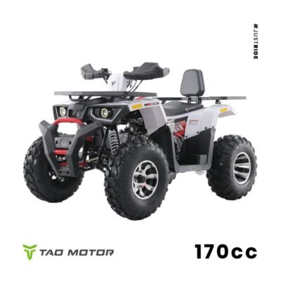 Tao Motors 170cc Brave Off-road Quad