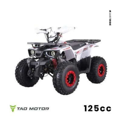 Tao Motors 125cc Hunter Offroad Quad Bike