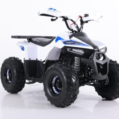 Tao Motors 110cc Mudhawk Offroad Quad